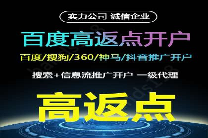 媒体平台的信息流广告代理服务案例探讨